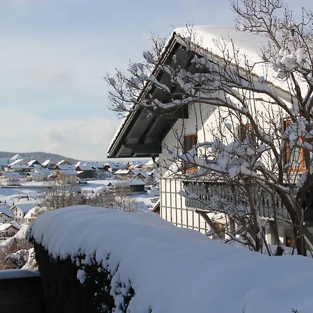 Daire Relax - & Hallenbad & Relaxgarten Bodenmais
