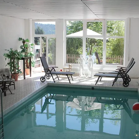 Relax - & Hallenbad & Relaxgarten * Bodenmais