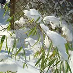 Appartement Relax - & Hallenbad & Relaxgarten *