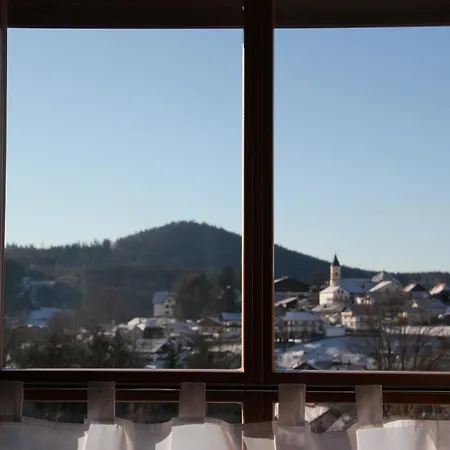 Relax - & Hallenbad & Relaxgarten Apartment Bodenmais