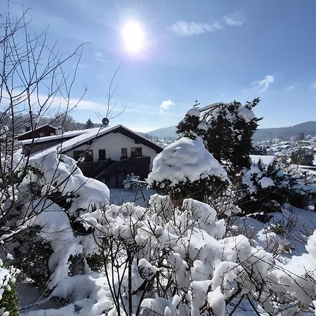 Relax - & Hallenbad & Relaxgarten Appartement Bodenmais